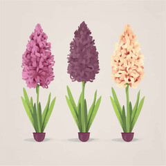 A collection of minimalistic hyacinth flower illustrations with clean lines and simplicity.