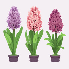 Pack of artistic hyacinth flower stickers to enhance your creations with floral charm.
