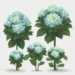 Vector set showcasing the exquisite beauty of hydrangea flowers.