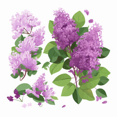 Pack of stylish lilac illustrations for branding and promotional materials.