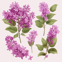 Pack of vibrant lilac illustrations that evoke a sense of joy and beauty.