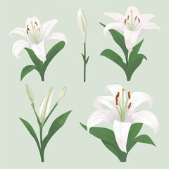 Pack of artistic lily stickers to add a floral touch to your creations.