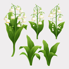 A delightful assortment of lily of the valley vector art.