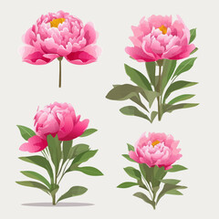 Fototapeta premium Pack of vibrant peony illustrations for your creative projects.