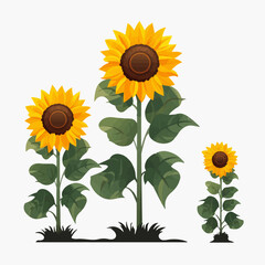 Set of charming sunflower stickers for personalized touches.