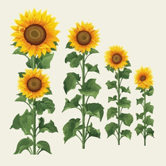 Set of decorative sunflower stickers for creative customization.