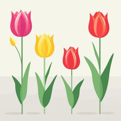 Collection of intricate tulip illustrations inspired by nature.