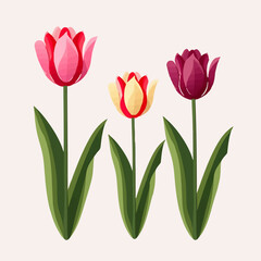 Fototapeta premium Collection of elegant and sophisticated tulip vector patterns.