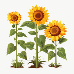 Collection of abstract sunflower illustrations in vector format.