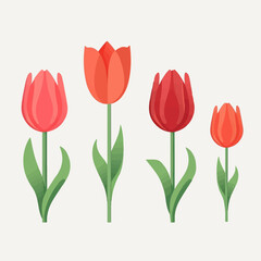 A collection of minimalistic tulip vector illustrations.