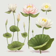 Collection of ethereal water-lily vector illustrations suitable for various applications.