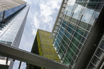 見上げた高層ビル