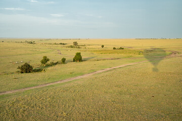 Obraz premium Hot air balloon shadow on the plains of the Masaai Mara in Kenya Africa. Dirt roads and zebras in distance
