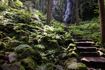 The Burgbach Waterfall in the coniferous forest falls over granite rocks into the valley near Bad...