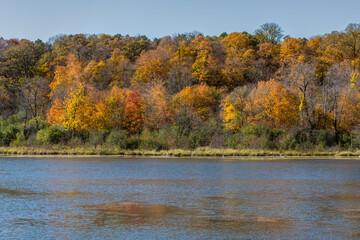 Fall Colors on Lake Alice at William O'Brien State Park in Minnesota