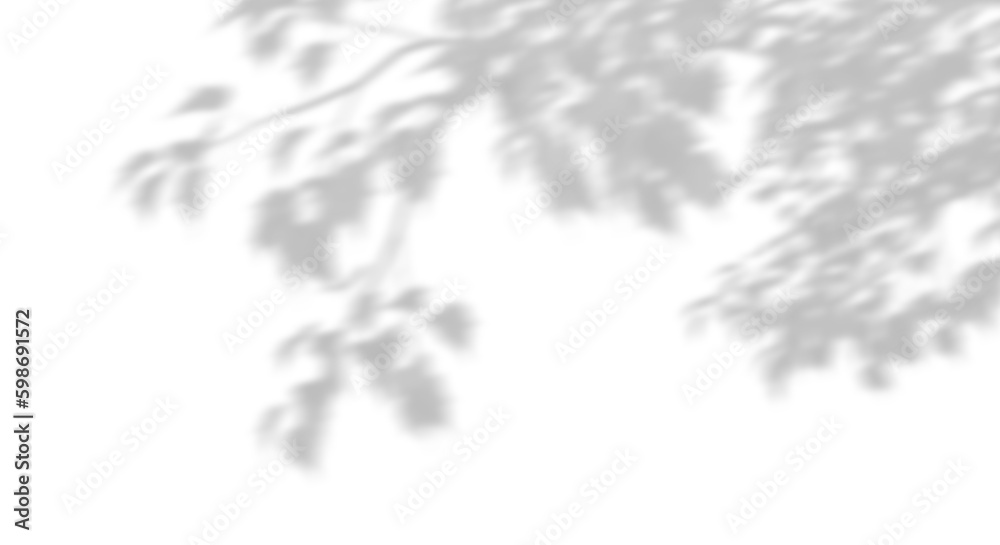 Fototapete movement realistic shadow leaves sunshade isolated on transparent backgrounds 3d rendering png