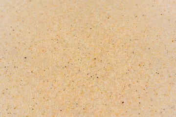 Macro close up sand texture. Background from fine sand.