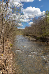 Fototapeta premium A mountain stream with stormy water flows through the forests in the reserve