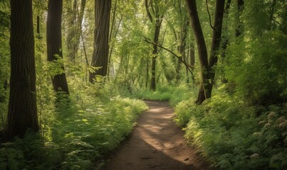  a dirt path through a lush green forest filled with trees.  generative ai