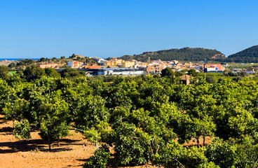 Fototapete bei efototapeten.de bestellen   