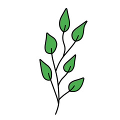 leaf vector green illustrations