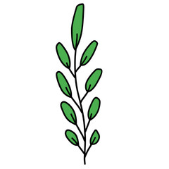 leaf vector green illustrations