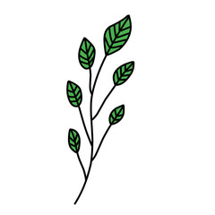leaf vector green illustrations
