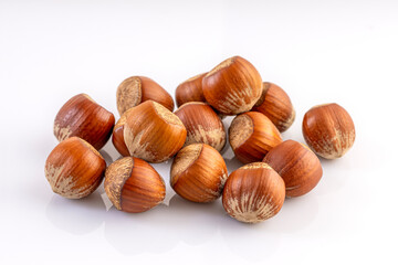 In shell Hazelnut. Studio shoot isolated on white background.