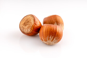 In shell Hazelnut. Studio shoot isolated on white background.