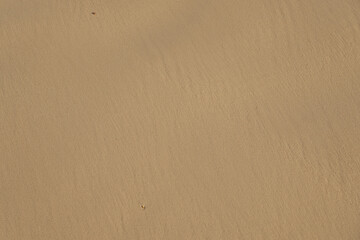 Sand in the desert with a pattern from the wind as a background.