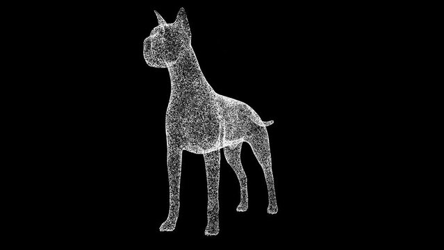 3D dog rotates on black background. Object made of shimmering particles. Pets care concept. For title, text, presentation. 3d animation 60 FPS