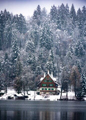 Winter in Lake Bled Slovenia 