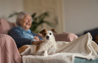 Senior woman enjoying time with her little dog.