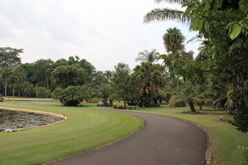 Obraz premium Park photos, flowers and nature