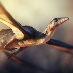 Preciosa imagen de vivos colores de tus compañeros mas fieles, los animales, disfruta de ella y de su tierna mirada