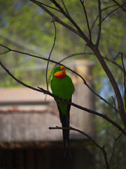 Lo zoo è un ottimo posto per vedere e sperimentare cose nuove.