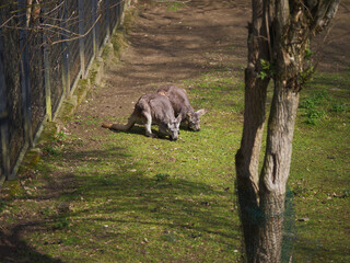 Lo zoo è un ottimo posto per vedere e sperimentare cose nuove.