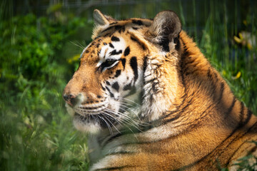 Sofia zoo photography August 2023