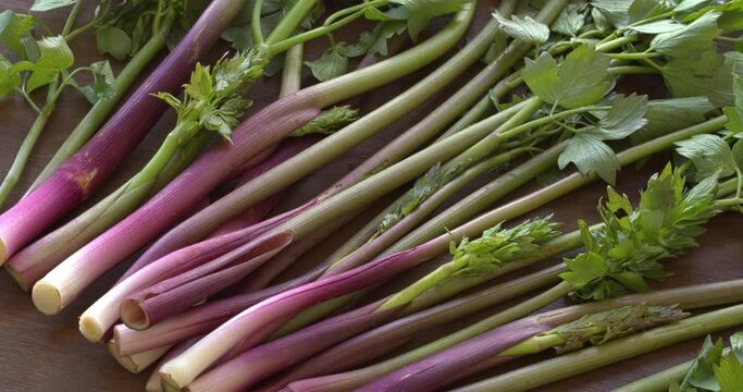 Lovage herb young stalks and leaves. Bunch of fresh organic green vegetables. Table spin.