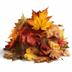 A pile of colored autumn leaves, isolated object. generative AI
