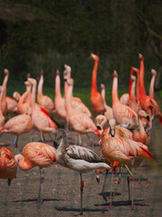 Lo zoo è un ottimo posto per vedere e sperimentare cose nuove.