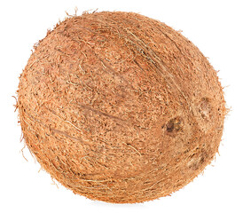 Fresh tropical coconut isolated on a white background
