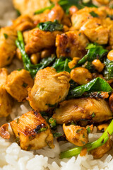 Asian Ginger Peanut Chicken and Rice