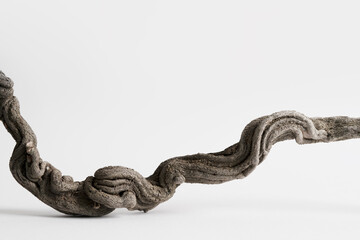 Natural wooden branch on light grey background mockup. Rough textured piece of wood or twig for product advertising. Eco spa and beauty display. Minimal wabi sabi concept. Copy space, front view.