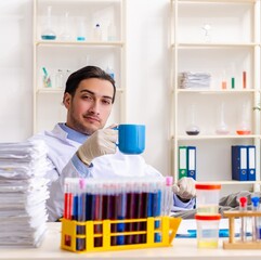 Young male chemist working in the lab