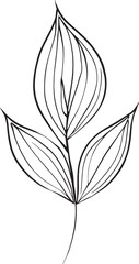 scientific botanical illustration, pencil botanical drawings, botanical leaf vector, botanical leaf line art, leaf line art, leaf drawings, sketch leaf drawing, art leaf design