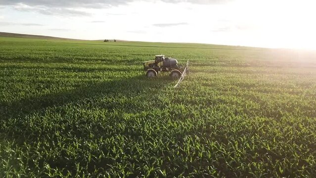 Pulverizador mosquito