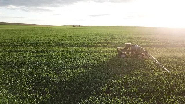 Pulverizador mosquito