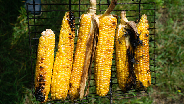 Hot grilled corn with salt