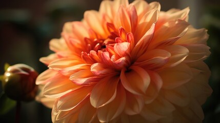 orange flower